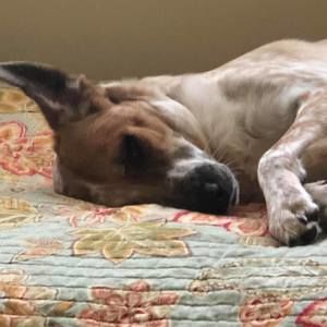 Meet your Posher, Diana